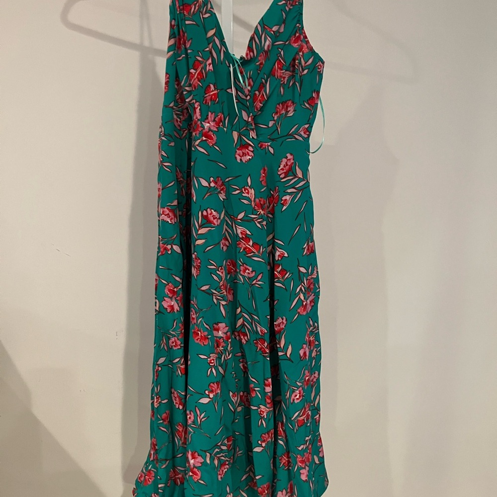 Yumi Kim Elegant Floral Maxi Dress in Green and Red